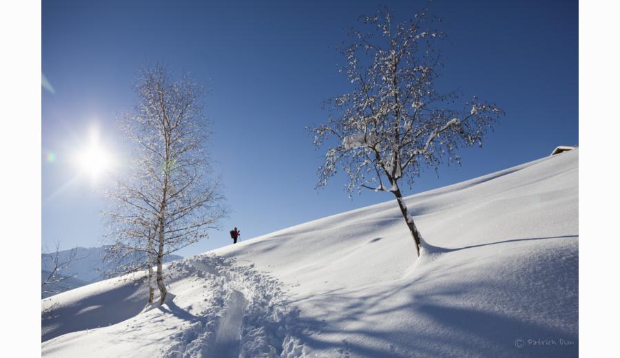 Raquettes Dôme de Vaugelas Dion Marie-Odile activité randonnée raquette hiver