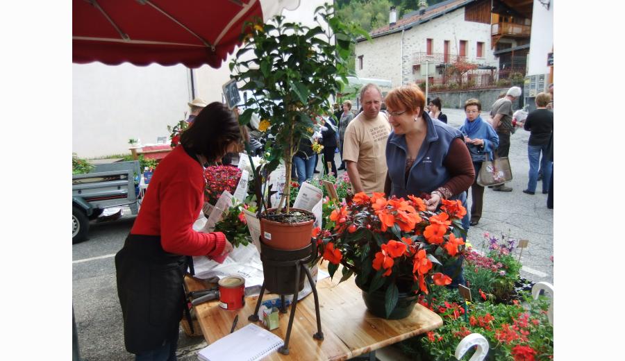  Hauteville-Gondon flower market and garden